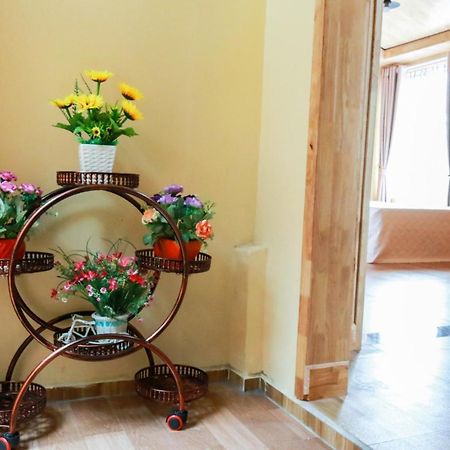 Cat Ba Vintage Homestay Cat Ba Island Εξωτερικό φωτογραφία