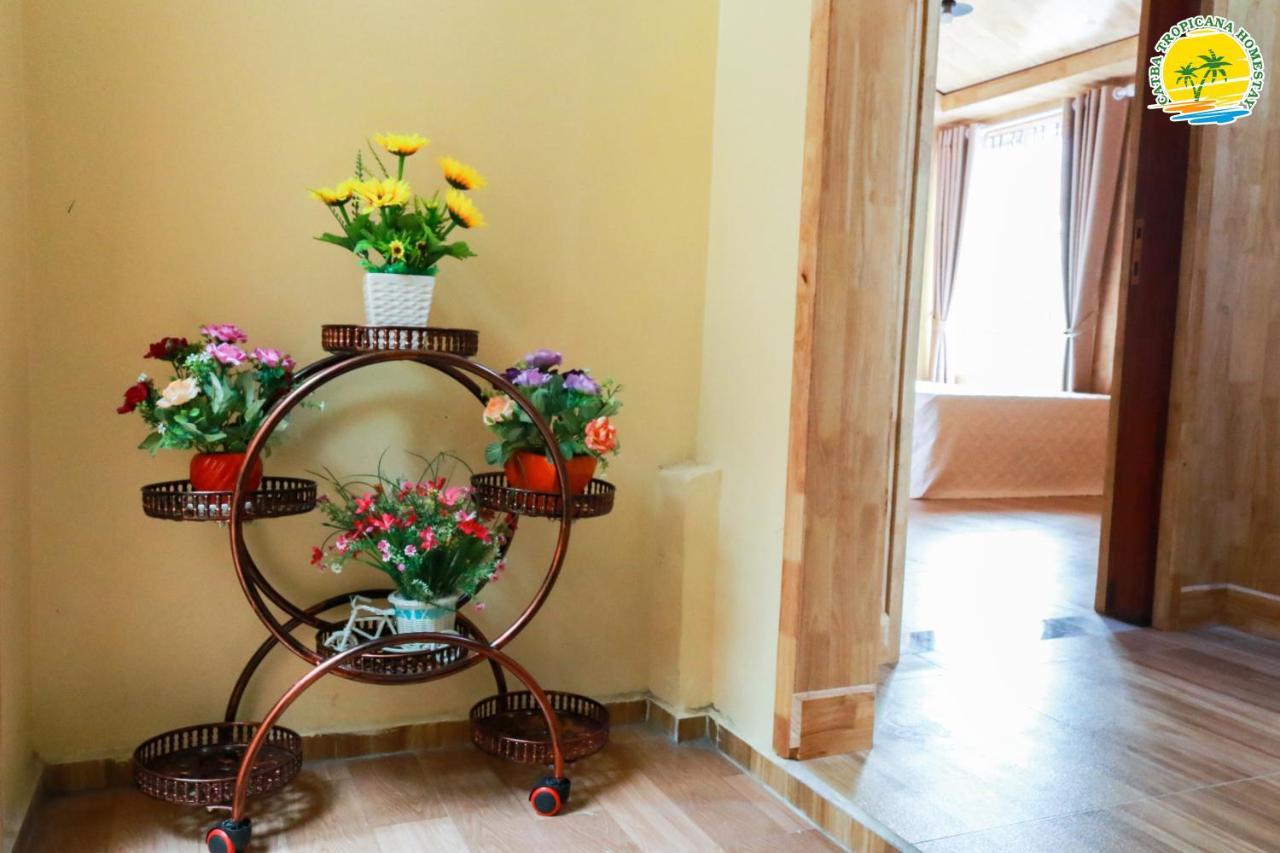 Cat Ba Vintage Homestay Cat Ba Island Εξωτερικό φωτογραφία