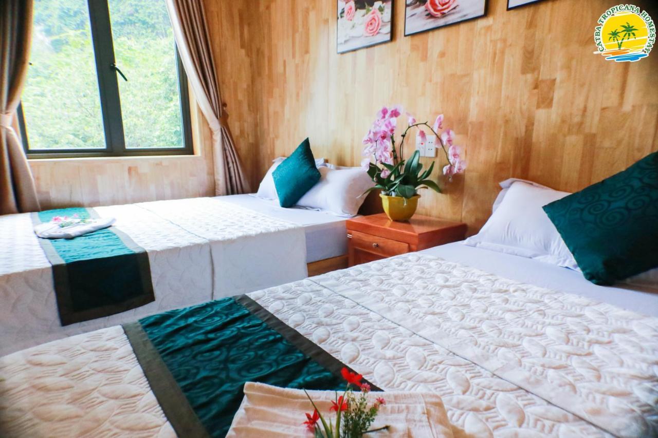 Cat Ba Vintage Homestay Cat Ba Island Εξωτερικό φωτογραφία